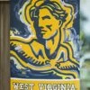 Best Pirce ⌛ Evergreen West Virginia Mountaineers Navy Justin Patten Outdoor Flag 🎁
