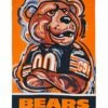 Deals 🧨 Evergreen Chicago Bears Orange Justin Patten Outdoor Flag ⌛