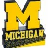 Best Pirce ✔️ Evergreen Michigan Wolverines Yellow & Black Logo Décor 🎉