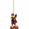 Discount 🤩 Evergreen South Carolina Gamecocks Mascot Statue Ornament 😉