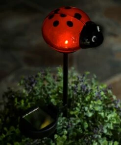 Best reviews of 🔔 Evergreen Ladybug Glass Solar Garden Stake 👏