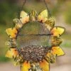 Best deal 🎁 Evergreen Metal & Glass Sunflower Bird Feeder ⌛