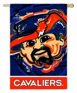 Best reviews of 🔔 Evergreen University Of Virginia Blue Justin Patten Outdoor Flag 🔥